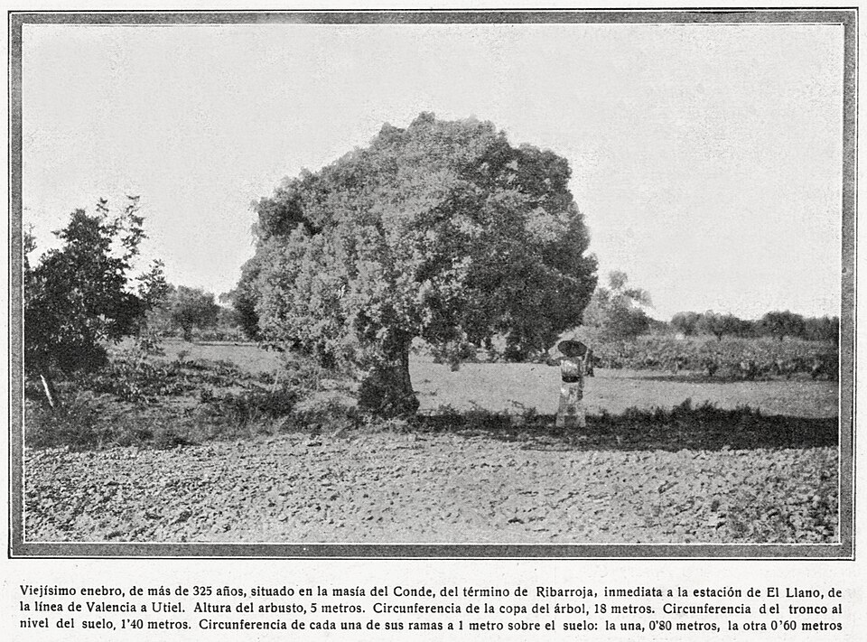 Foto 2 — Riba-roja de Túria, Valencia (46190)