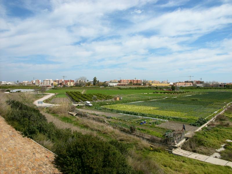 Vista de Sollana, Valencia (46430)