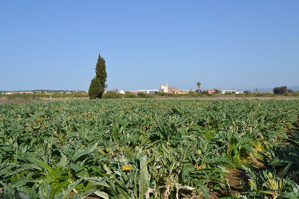 Foto 3 — Vinalesa, Valencia (46114)