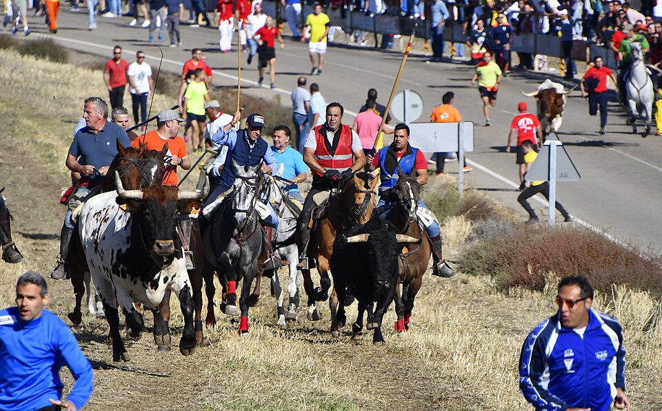 Foto 4 — Olmedo, Valladolid (47410)
