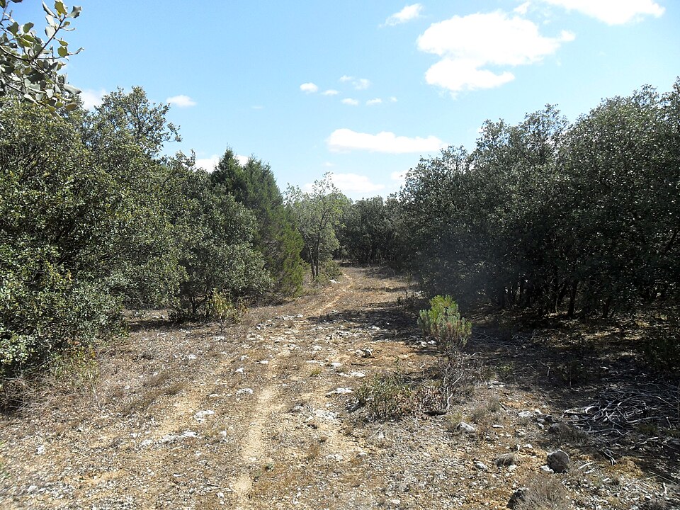 Foto 3 — Quintanilla de Onésimo, Valladolid (47350)