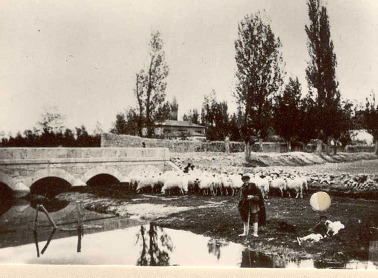 Foto 3 — Renedo de Esgueva, Valladolid (47170)