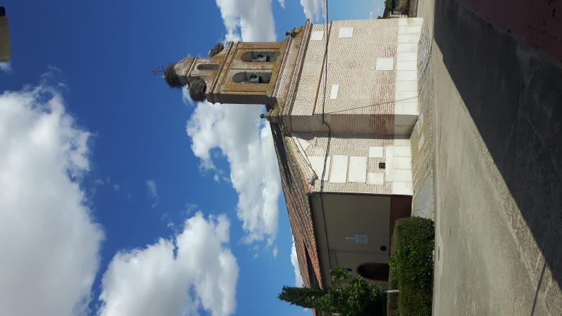 Vista de San Vicente del Palacio, Valladolid (47493)