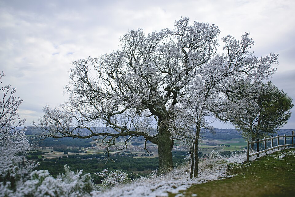 Foto 4 — Traspinedo, Valladolid (47330)