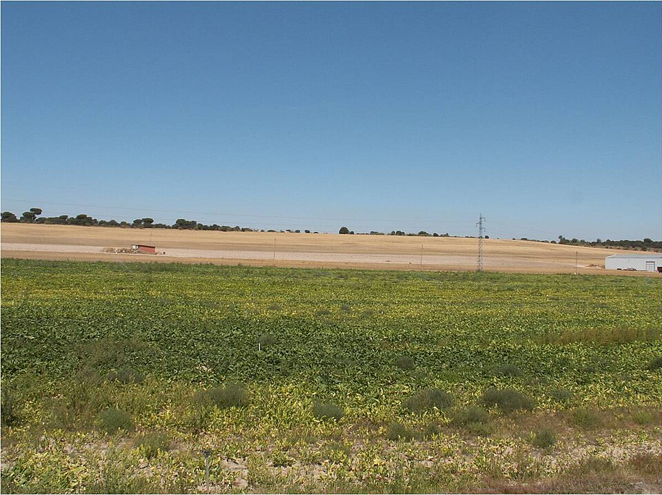 Foto 4 — Viana de Cega, Valladolid (47150)