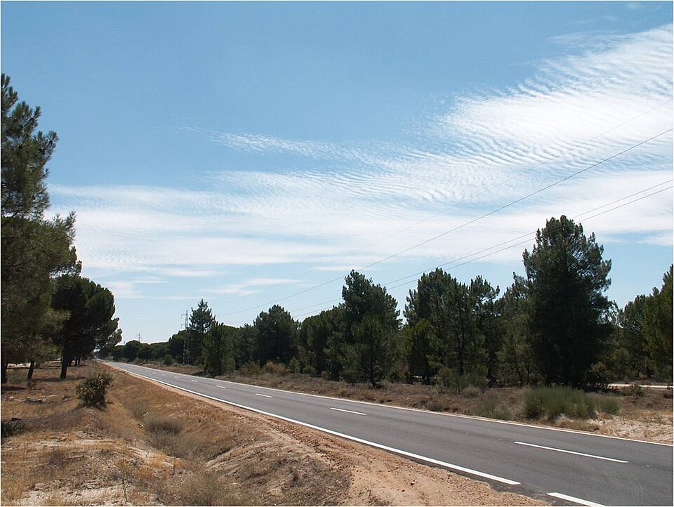 Foto 5 — Viana de Cega, Valladolid (47150)
