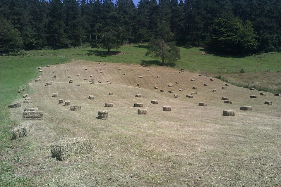 Foto 2 — Zeanuri, Bizkaia (48144)