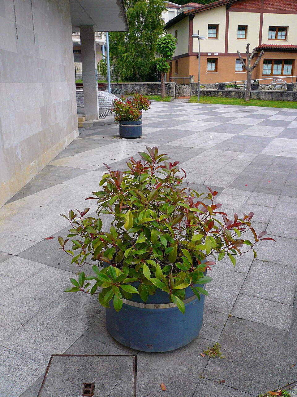 Foto 4 — Gordexola, Bizkaia (48192)