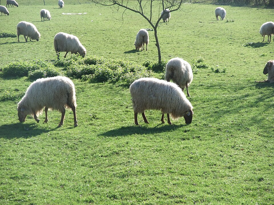 Foto 4 — Güeñes, Bizkaia (48840)