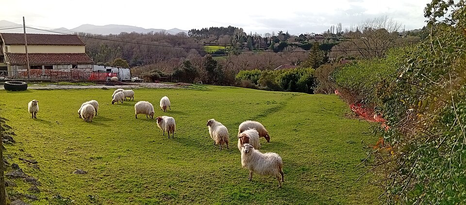 Foto 2 — Loiu, Bizkaia (48180)