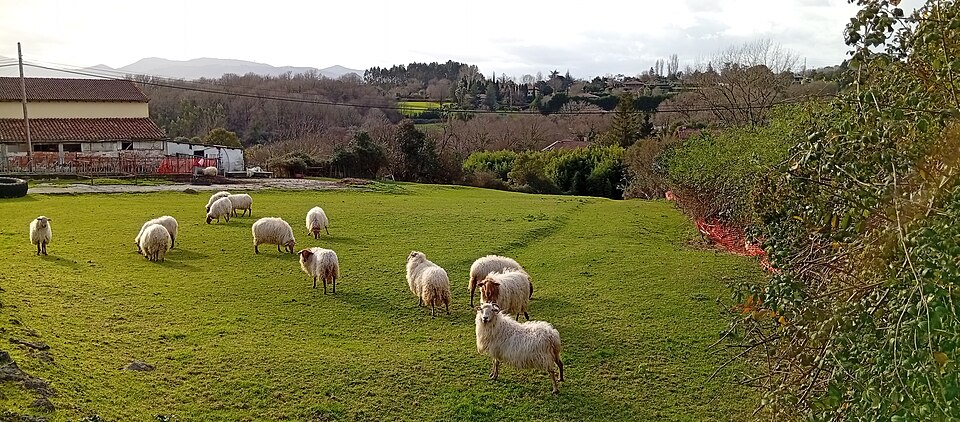 Foto 5 — Loiu, Bizkaia (48180)