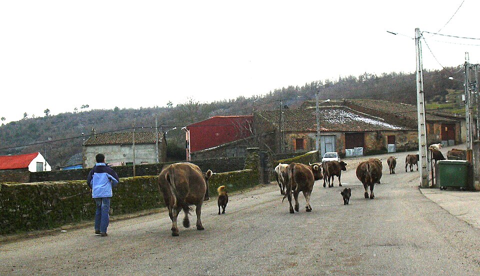 Foto 4 — Alcañices, Zamora (49500)