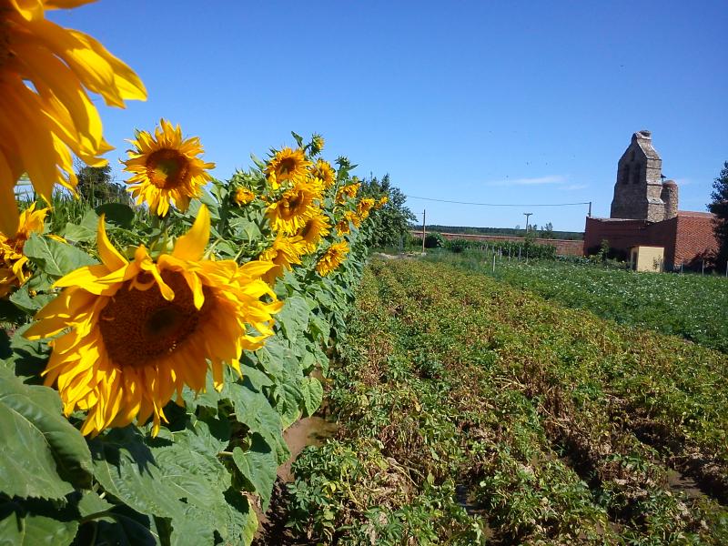 Vista de Fresno de la Polvorosa, Zamora (49075)