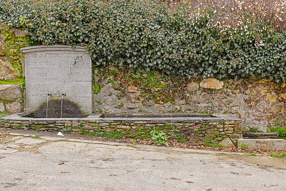 Foto 4 — Galende, Zamora (49360)