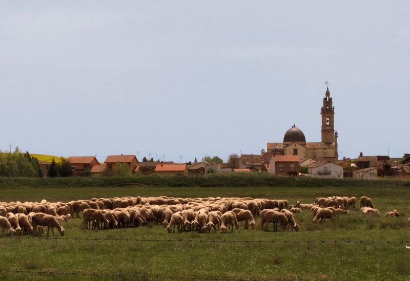 Vista de Molacillos, Zamora (49120)