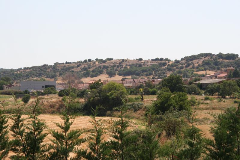 Vista de Peleagonzalo, Zamora (49880)