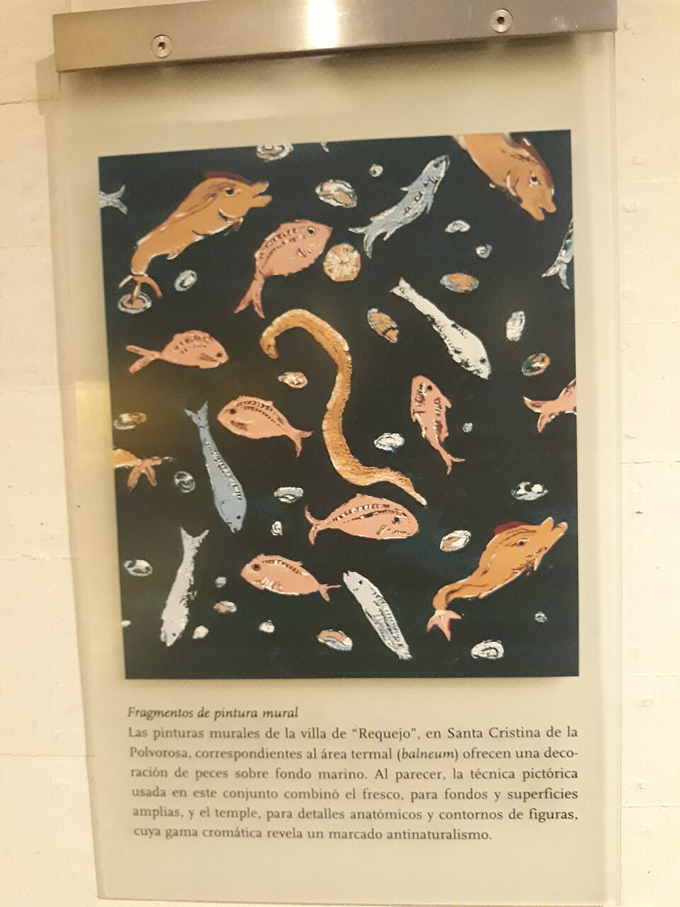 Foto 2 — Santa Cristina de la Polvorosa, Zamora (49620)