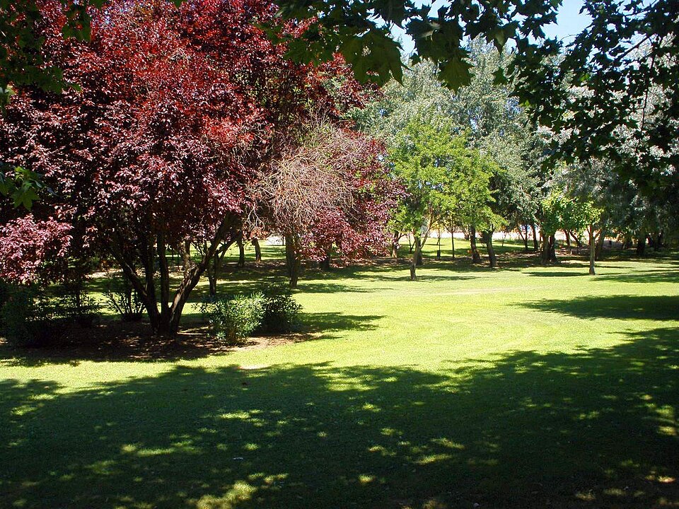 Foto 2 — Ejea de los Caballeros, Zaragoza (50600)