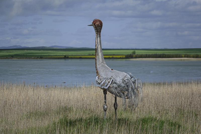 Vista de Gallocanta, Zaragoza (50117)