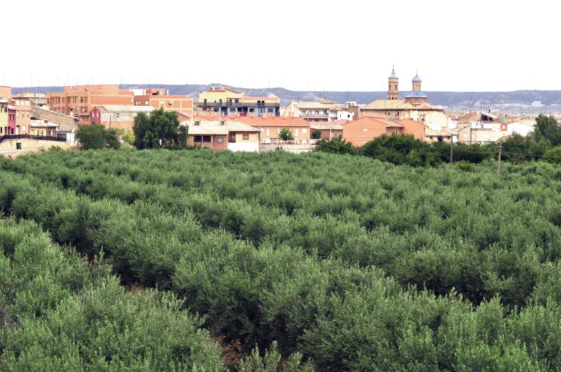 Vista de Muel, Zaragoza (50450)