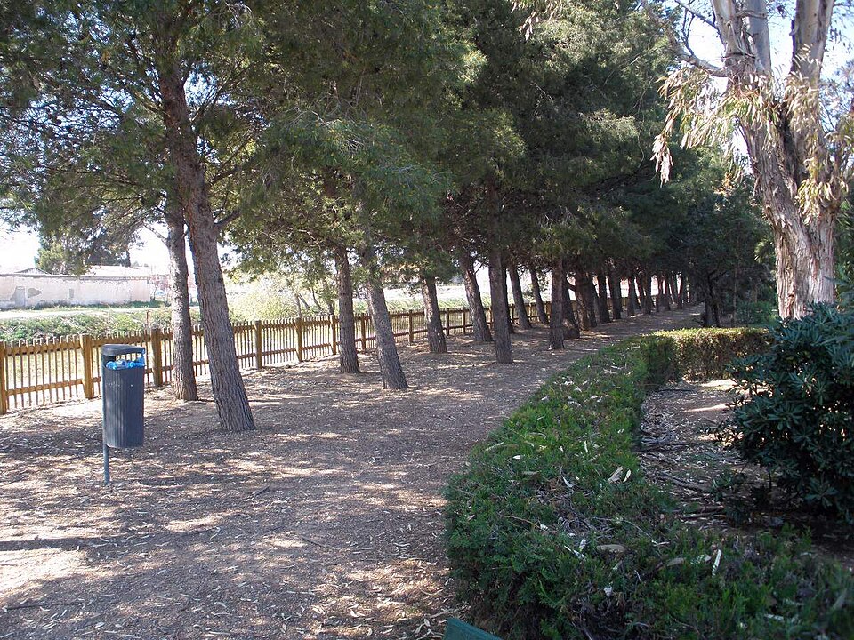 Foto 3 — Pedrola, Zaragoza (50204)