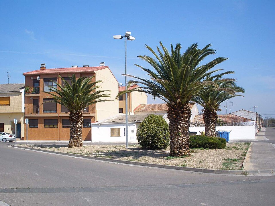 Foto 5 — Pedrola, Zaragoza (50204)