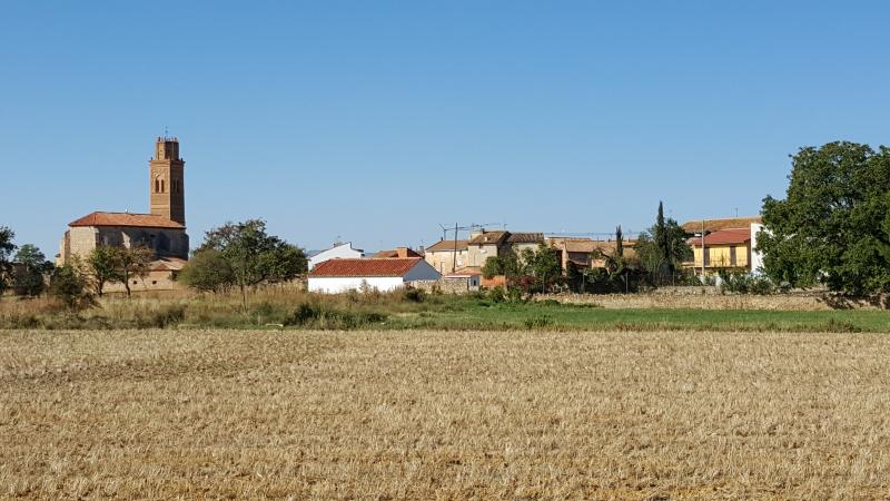 Vista de Romanos, Zaragoza (50491)