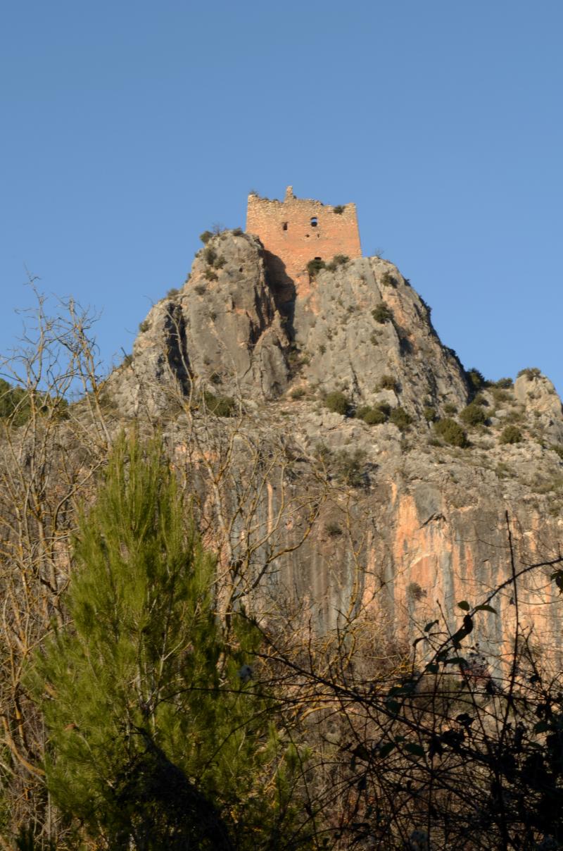 Vista de Tosos, Zaragoza (50264)