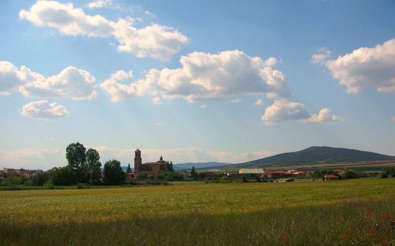 Vista de Villarreal de Huerva, Zaragoza (50490)