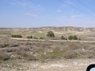 Foto 2 — Villamayor de Gállego, Zaragoza (50162)