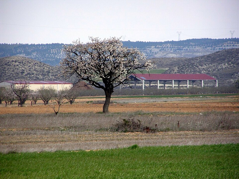 Foto 3 — Villamayor de Gállego, Zaragoza (50162)